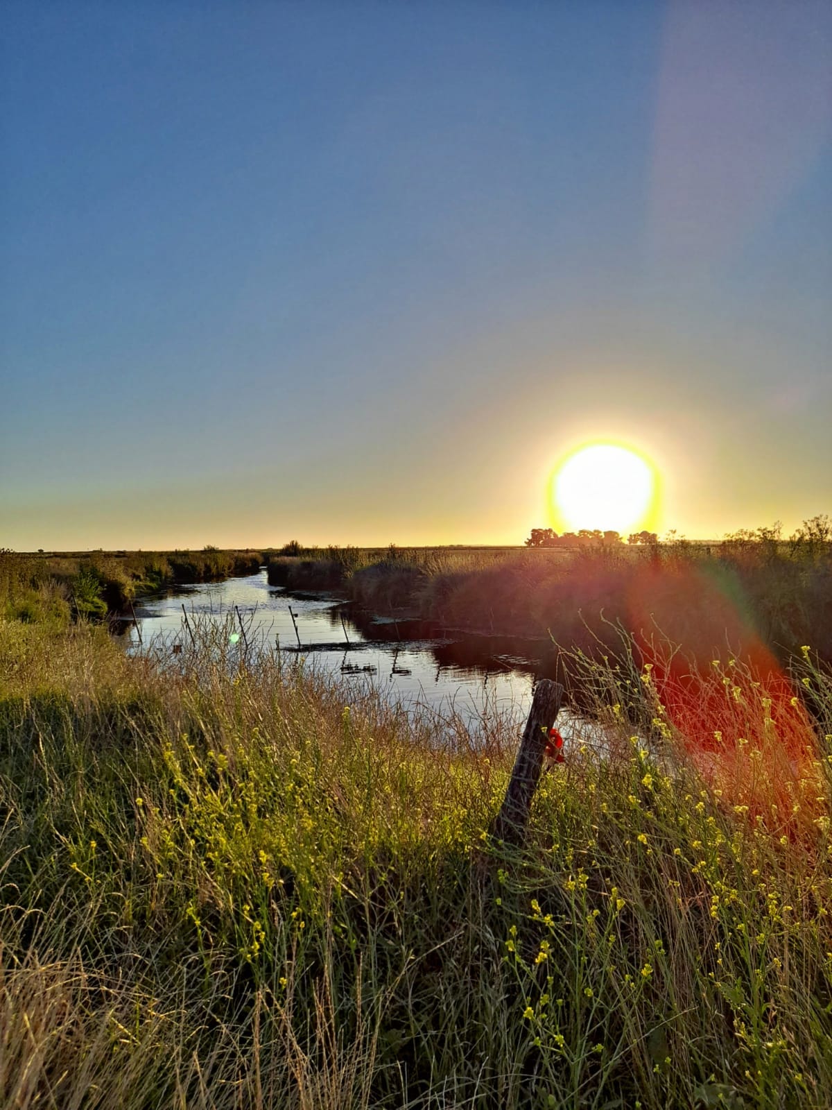 argentina river