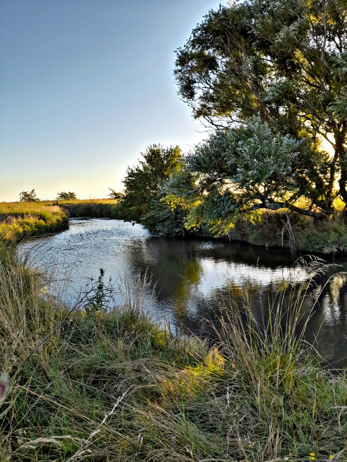 natural landscapes